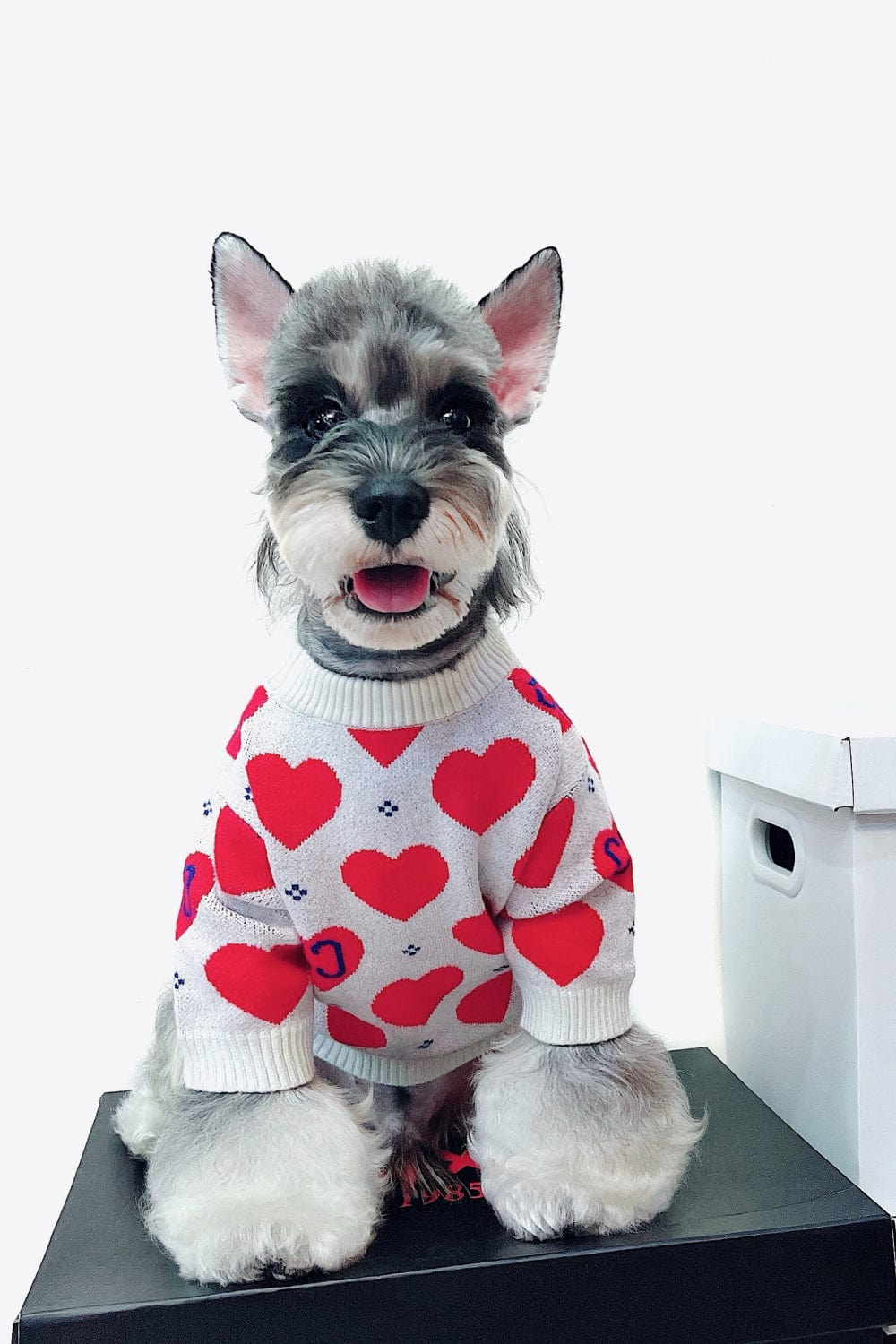 Heart Ribbed Trim Pet Sweater